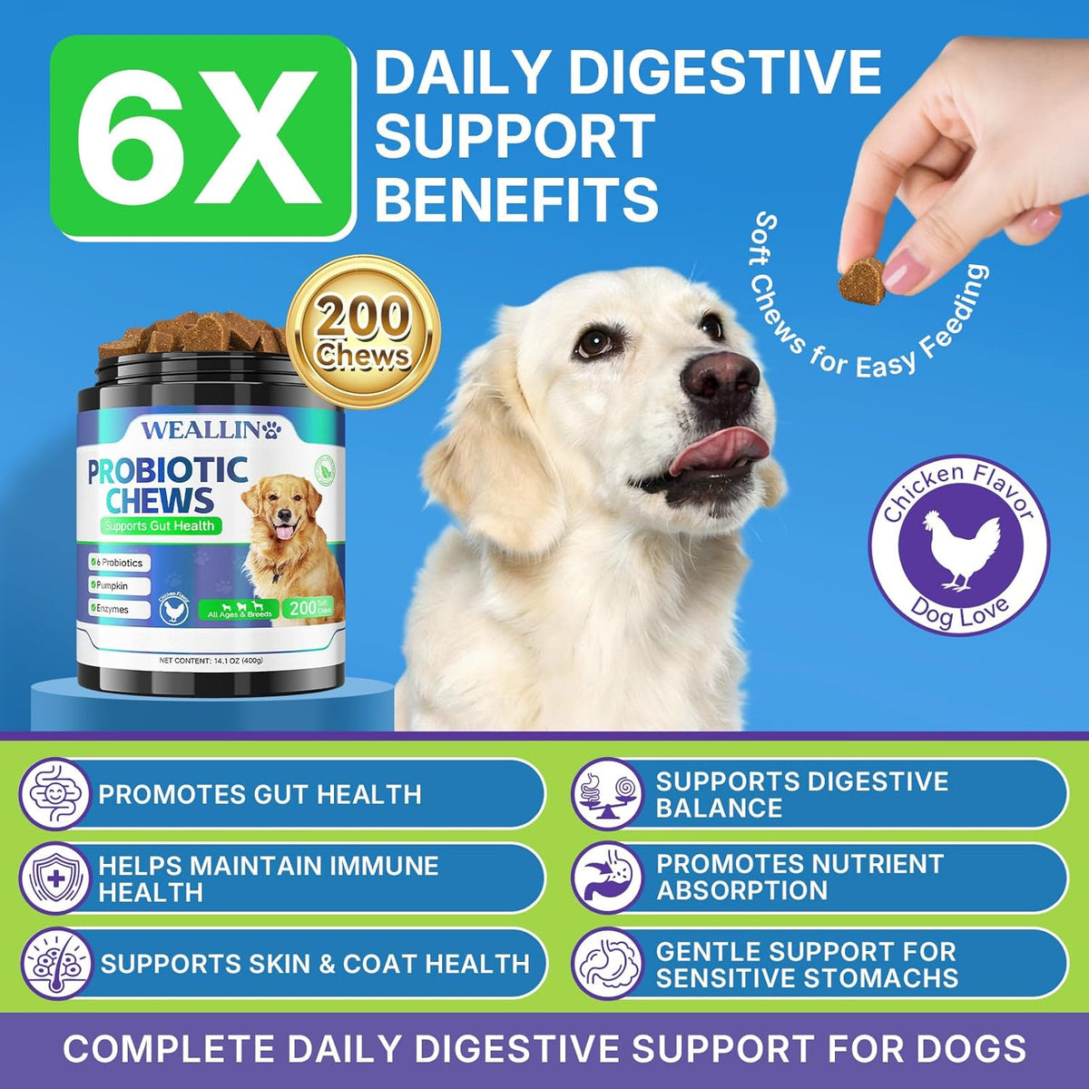 Weallin dog probiotic supplements jar showing chicken flavor treats for pet diarrhea relief.