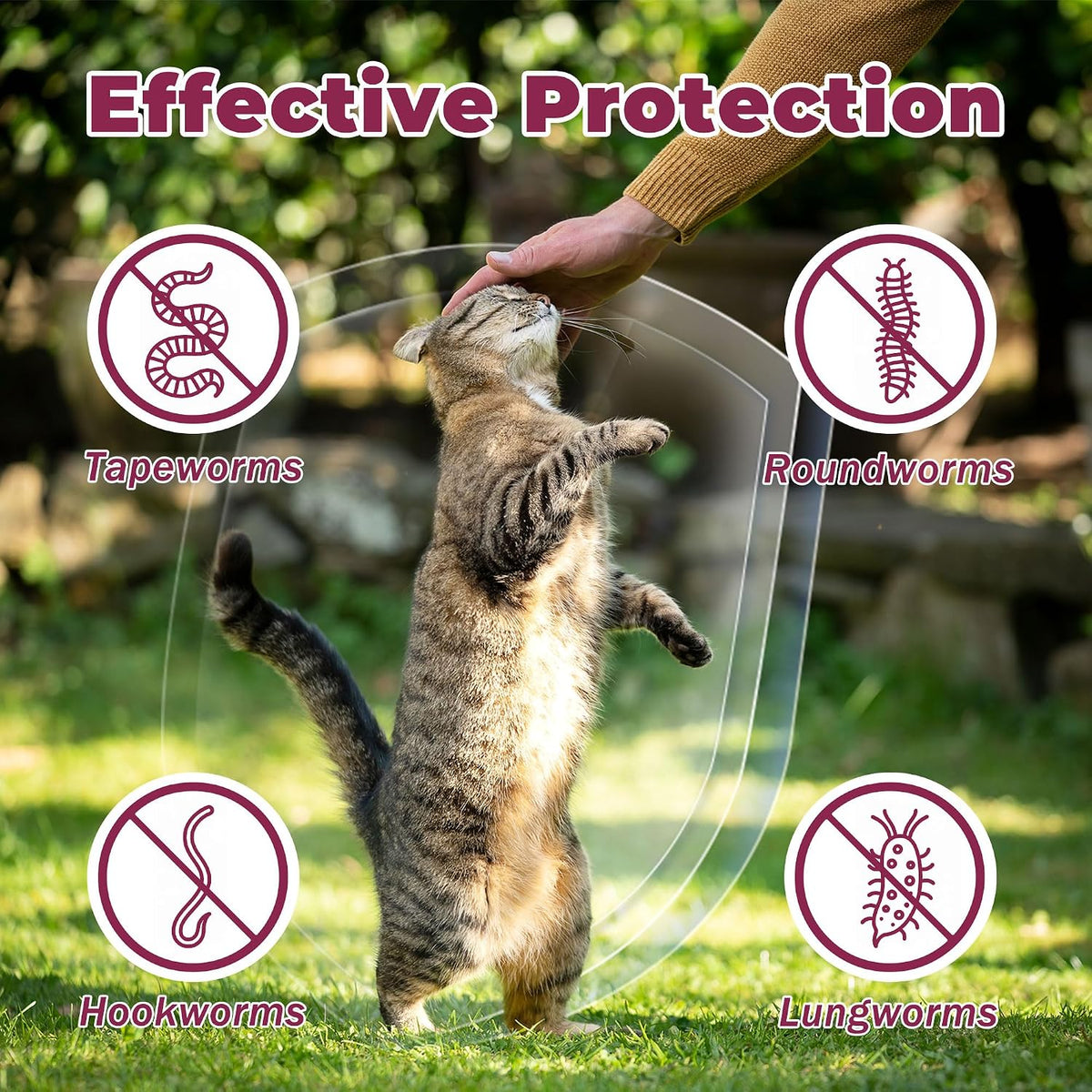 Fenbendazole oral wormer for felines with measuring syringe