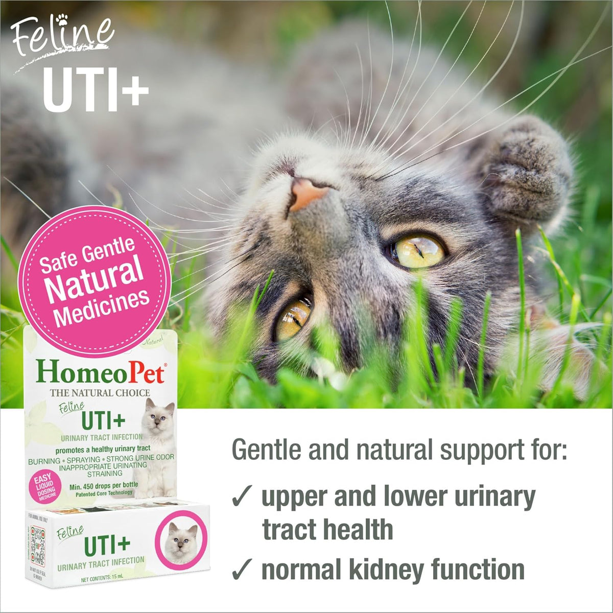 HomeoPet Feline Natural Supplement Packaging and Dropper