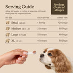 Fera Pets ten mushroom fruiting bodies blend powder jar for pet vitality