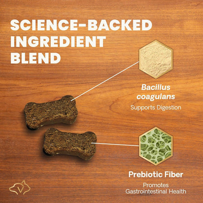 VetriScience premium pet probiotics for dog gas and diarrhea relief