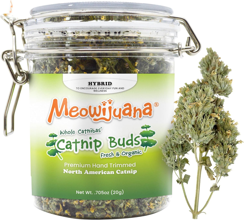 Meowijuana Catnibas Pawty Mix jar packaging presented against a clean white background