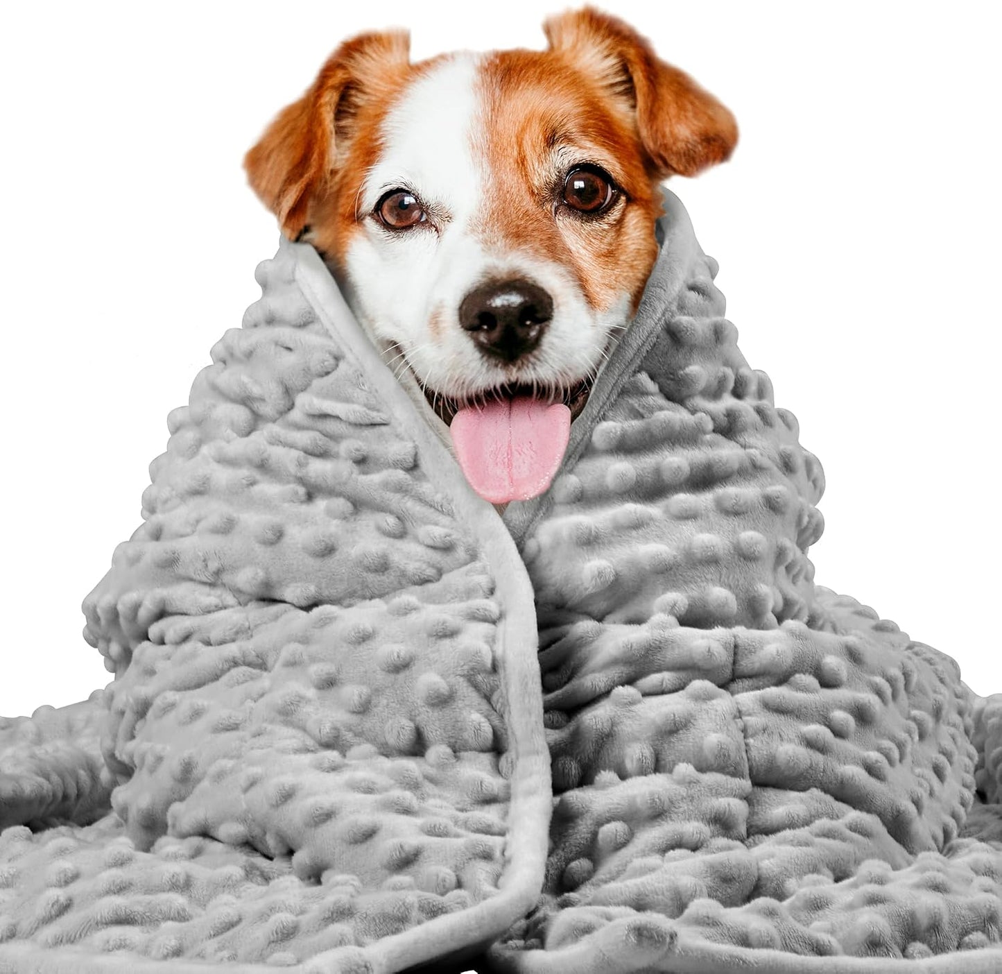 LaSyL Weighted Blanket for Pets | Thunder Blanket for Dogs Anxiety | Premium Soft Minky | Relaxation & Calming & Anti Anxiety | Used in Car, Bed, Couch | Blue Grey Star, Washable Small (24"x32") - Image 10