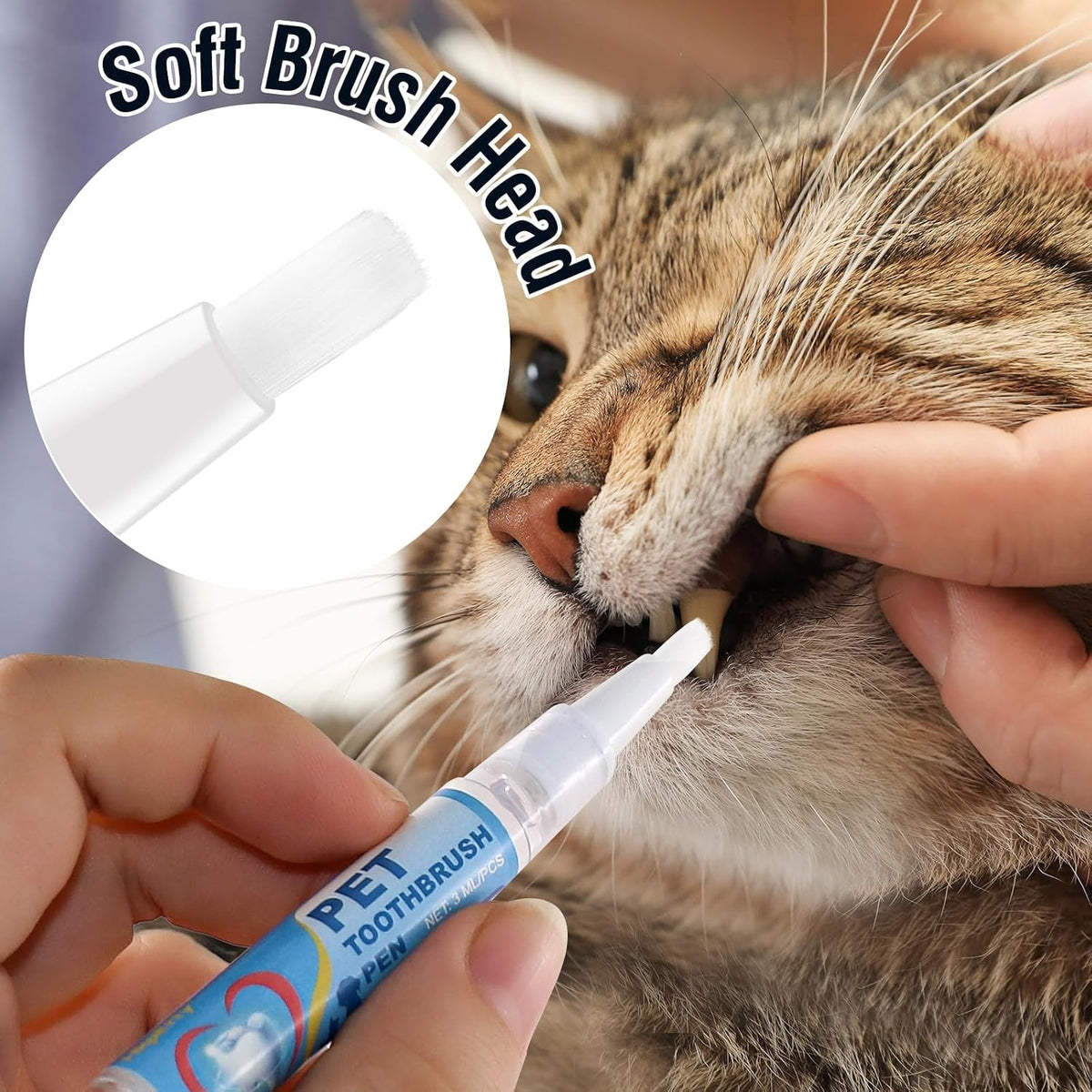 Hkpetty pet teeth brightening pen for professional home grooming.