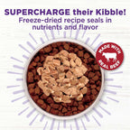Wellness CORE natural beef topper sprinkled on top of dry dog kibble in a pet bowl