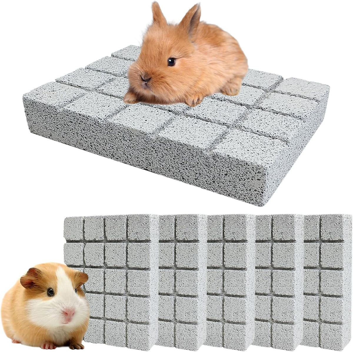 Premium imported Hamiledyi small pet claw and dental maintenance pads showcasing the complete two piece retail packaging.