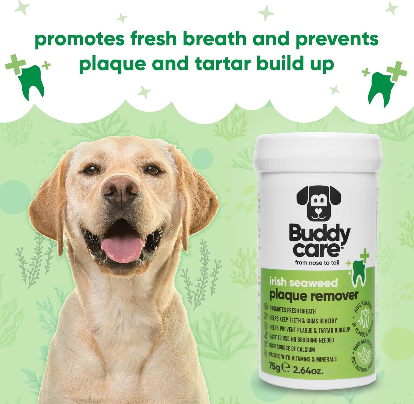 Buddycare pet dental powder supplement bottle showing one hundred percent natural ingredients.