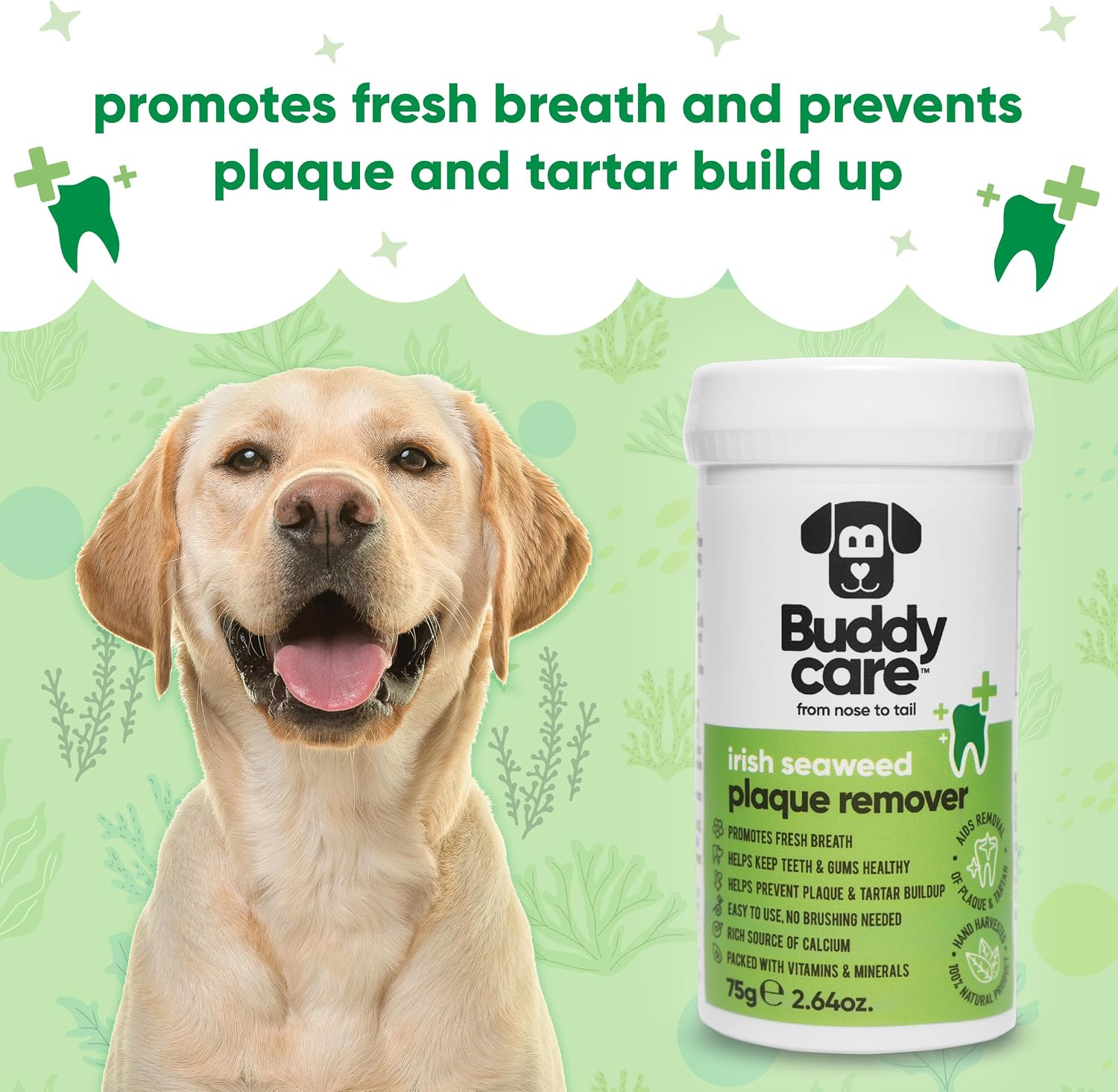 Buddycare pet dental powder supplement bottle showing one hundred percent natural ingredients.