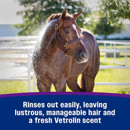 Farnam Vetrolin Bath, Ultra-Hydrating Argan Oil Conditioning Shampoo, Enhances Shine, Soothes Dry Skin, for Horses and Dogs, 64 oz. - Image 6