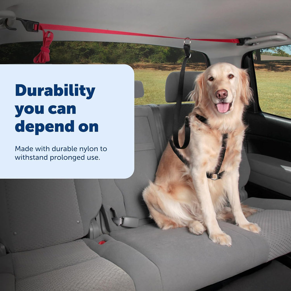 PetSafe Happy Ride Dog Zipline mounted in SUV interior