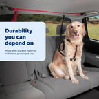 PetSafe Happy Ride Dog Zipline mounted in SUV interior