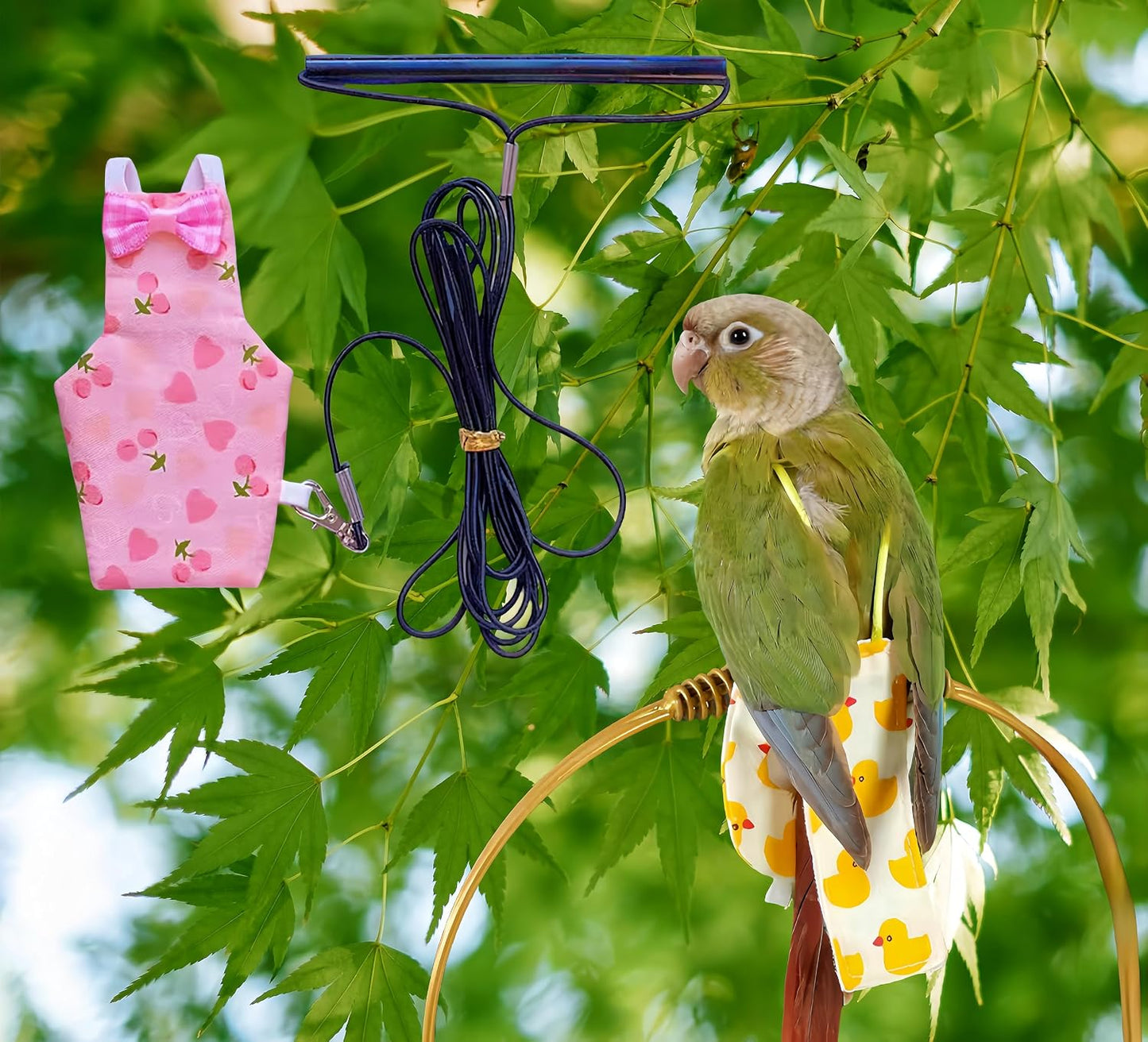 Magnoloran parrot underwear apparel for cockatiel budgie and lovebird