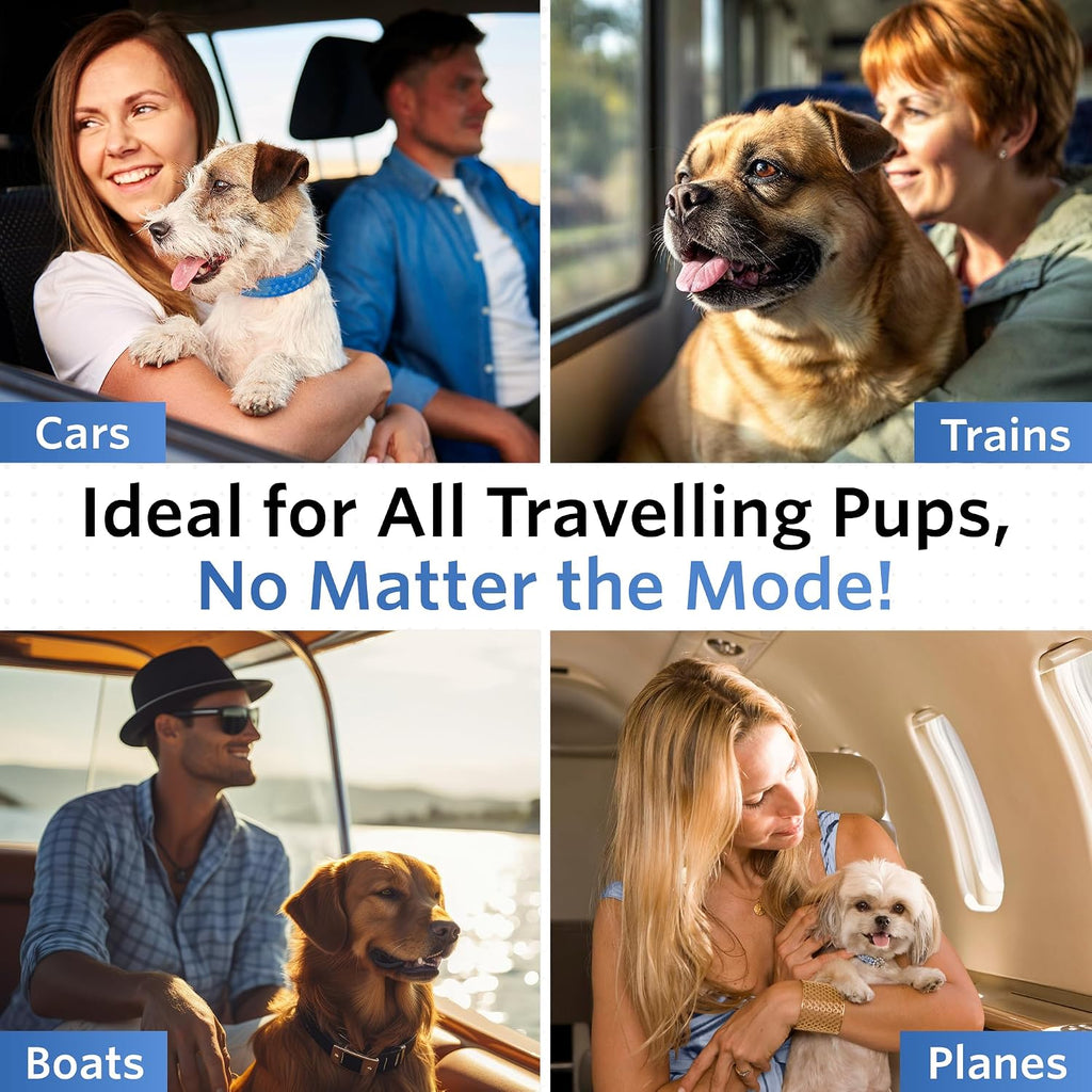 Usage instructions for NausX dog motion sickness tablets