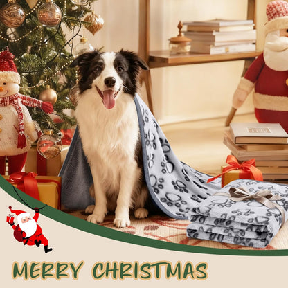 Luciphia three hundred GSM warm pet blanket on a living room sofa