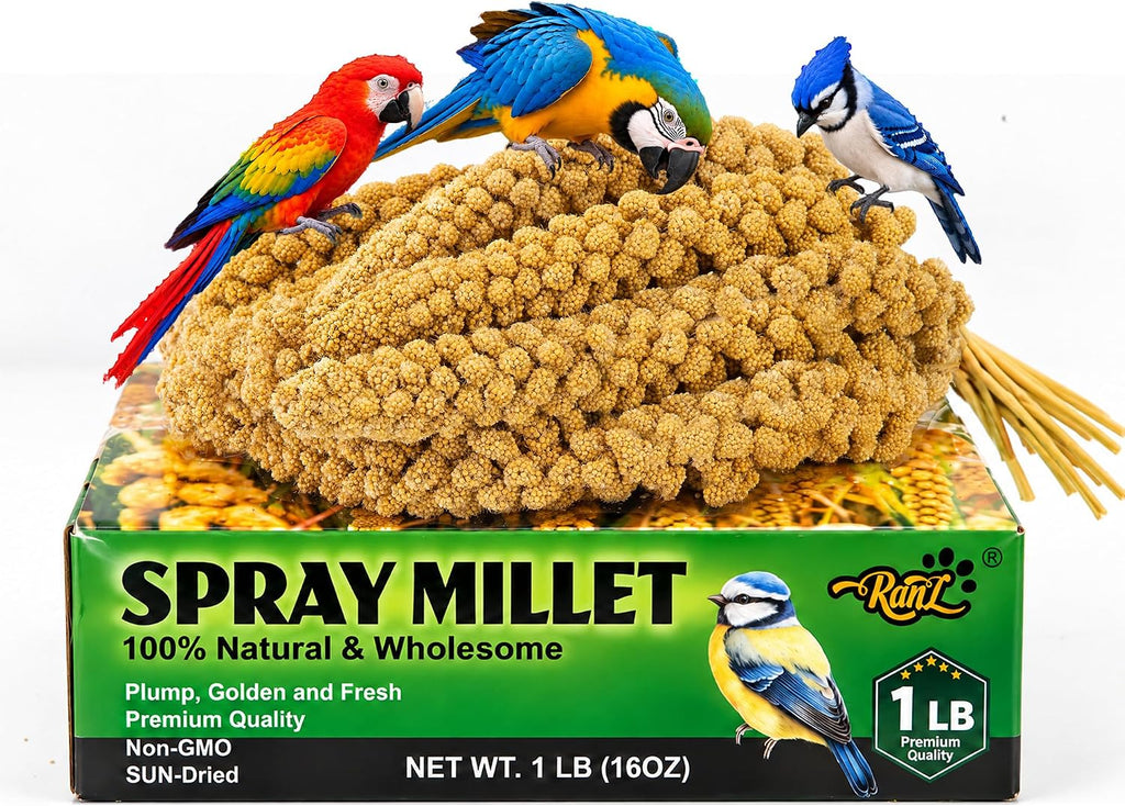 RANZ 5lb spray millet full box presentation
