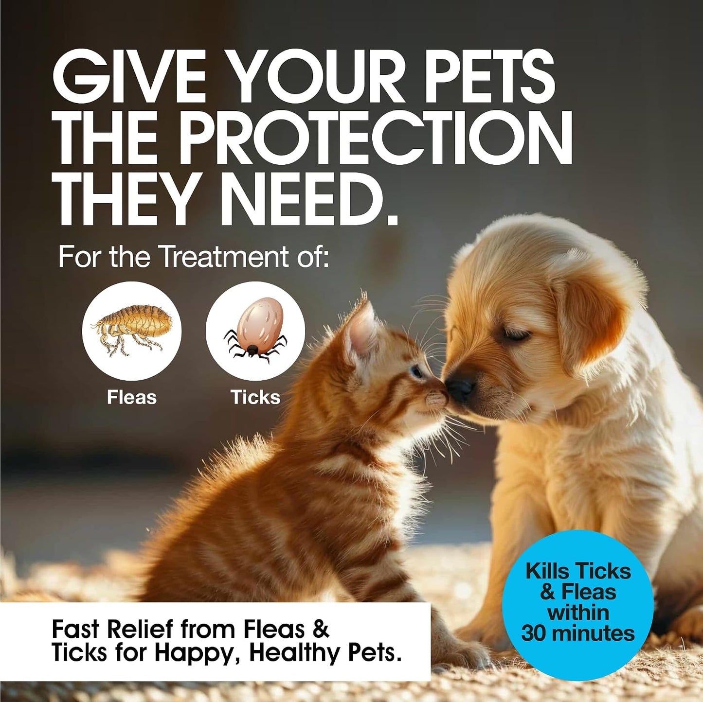 Milk flavored oral suspension for dogs and cats packaging back label details
