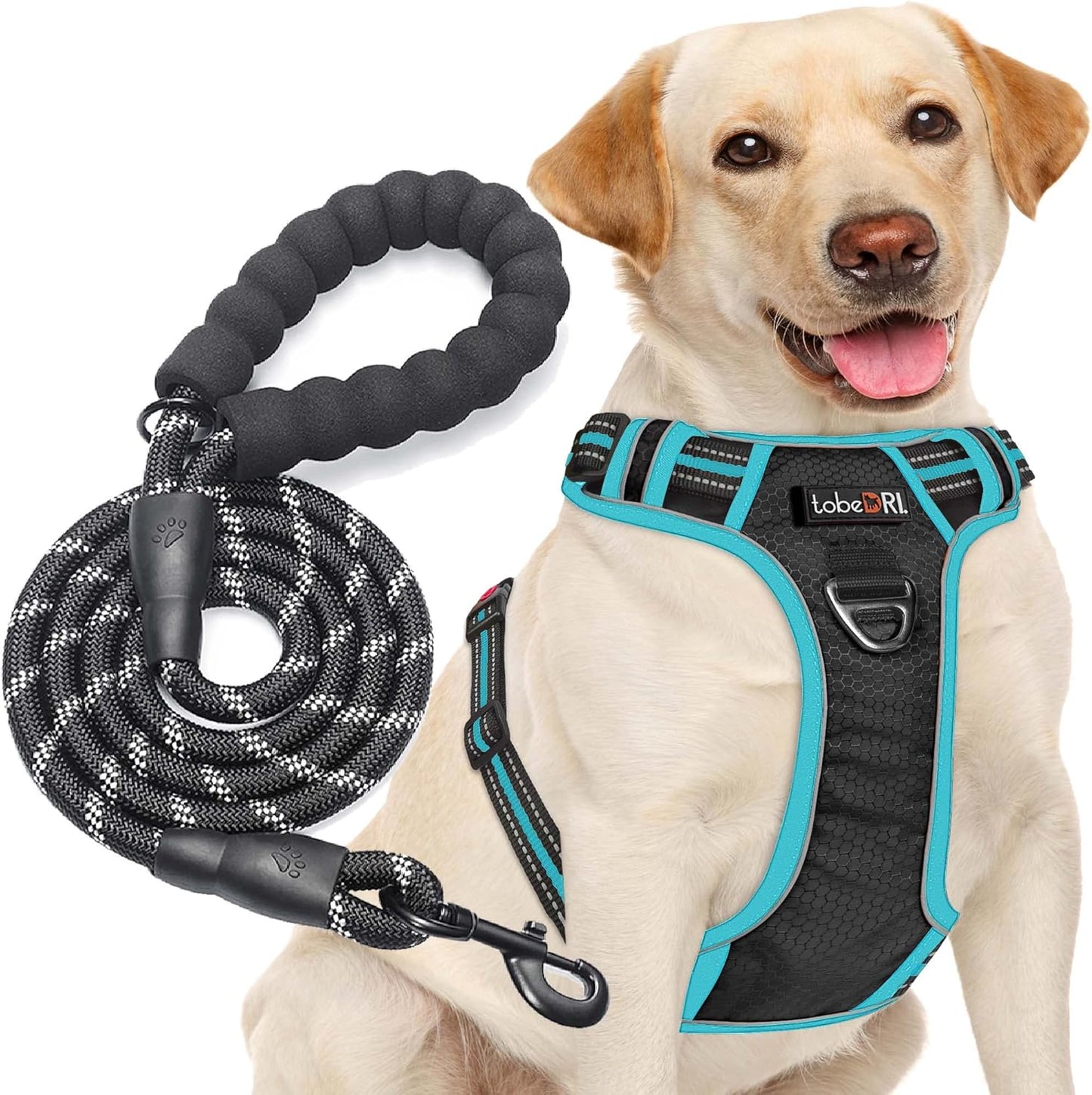 tobeDRI No Pull Dog Harness Adjustable Reflective Oxford Easy Control Medium Large Dog Harness with A Free Heavy Duty 5ft Dog Leash - Image 11
