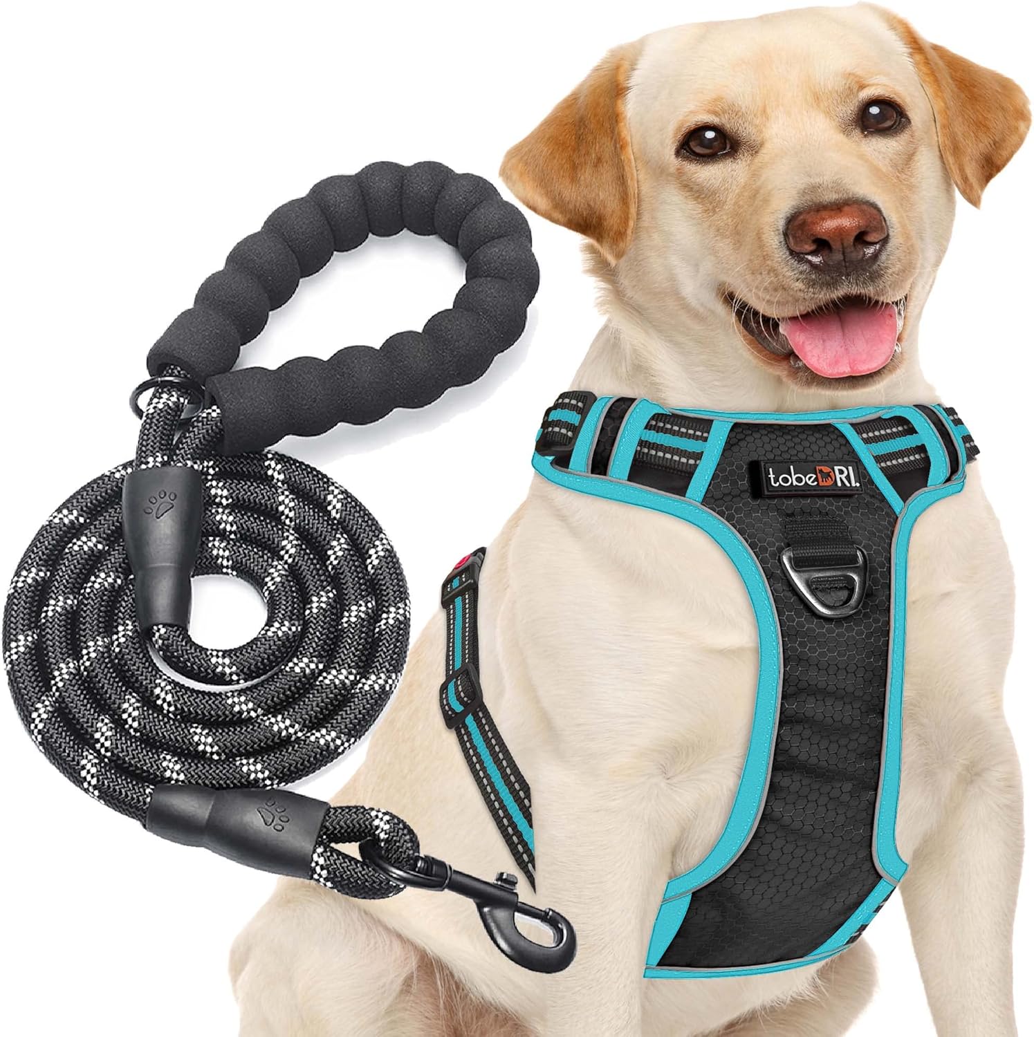 tobeDRI No Pull Dog Harness Adjustable Reflective Oxford Easy Control Medium Large Dog Harness with A Free Heavy Duty 5ft Dog Leash - Image 11