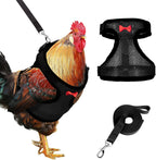 Adhafera chicken harness front view in black large