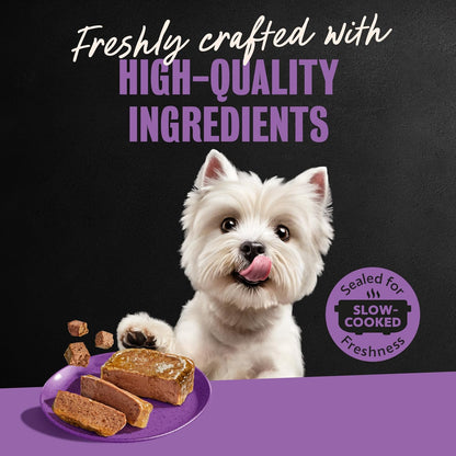 Cesar Classic Loaf in Sauce Adult Wet Dog Food Filet Mignon, 3.5 oz. Easy Peel Trays, 24 Count (Pack of 1) - Image 11