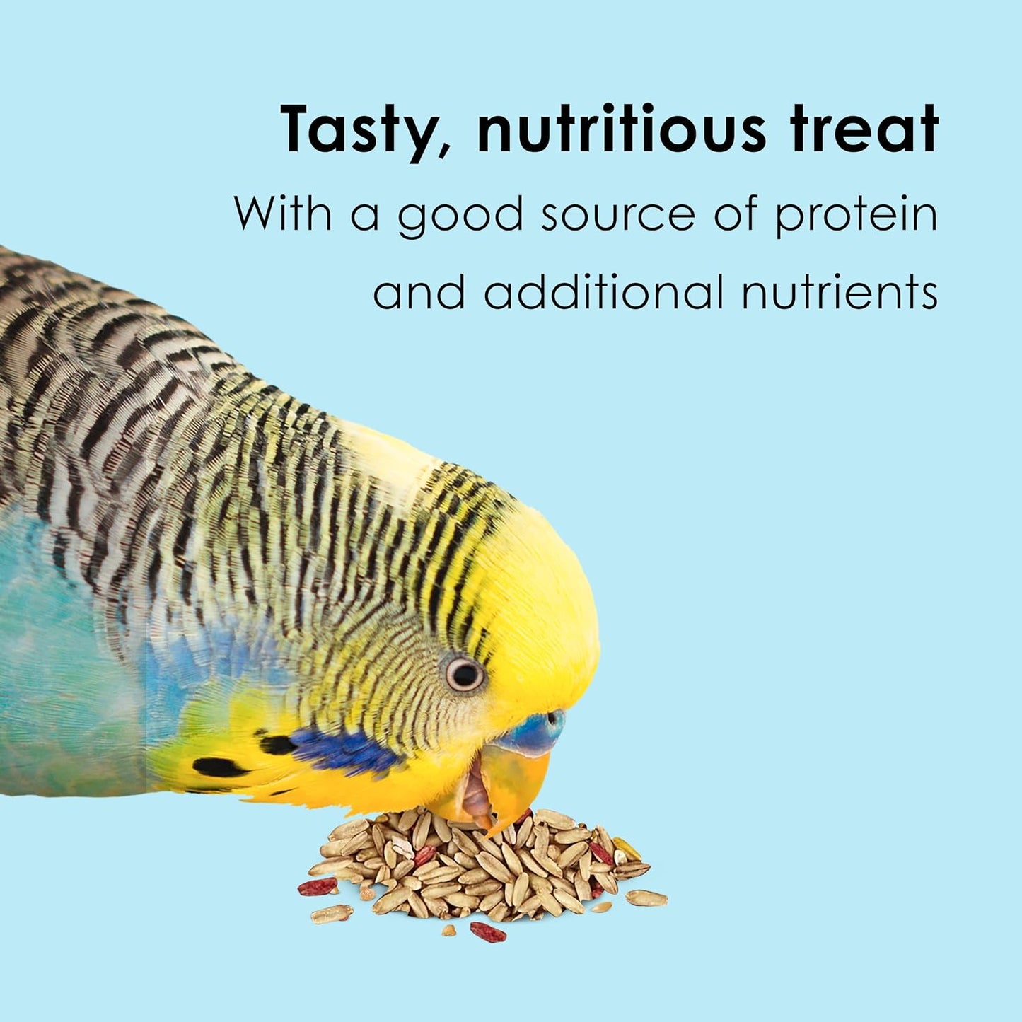 Close up of Kaytee oat groats bird treats in jar