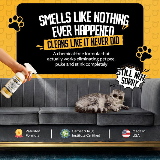Piss Off professional strength cat pee odor eliminator spray application on carpet