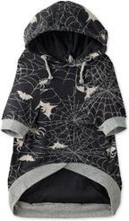 Pet Passion premium imported dog clothes lifestyle shot