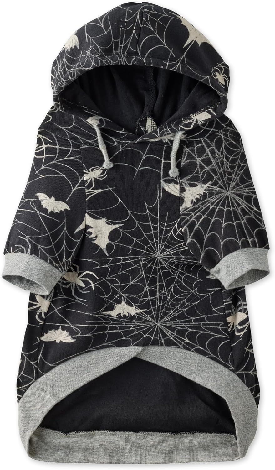 Pet Passion premium imported dog clothes lifestyle shot