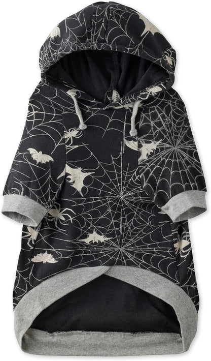 Pet Passion premium imported dog clothes lifestyle shot