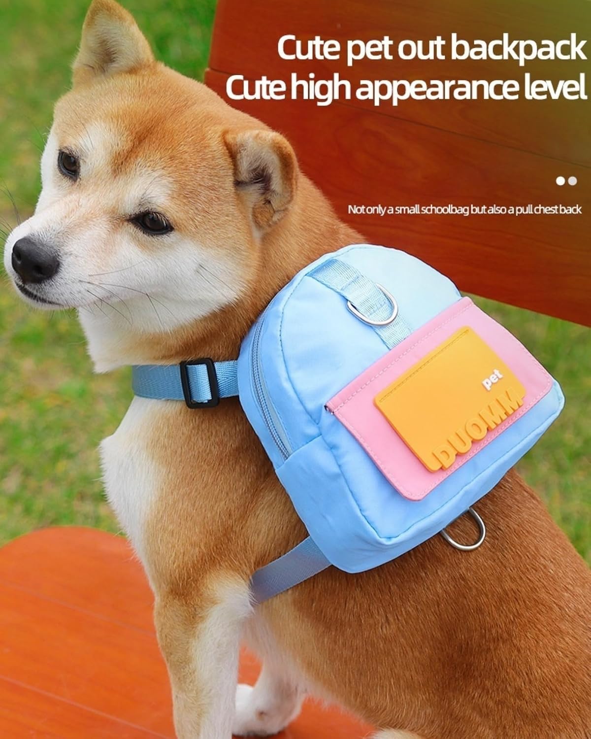 Rear view of a medium dog wearing the Smileshiney blue backpack harness during a walk.