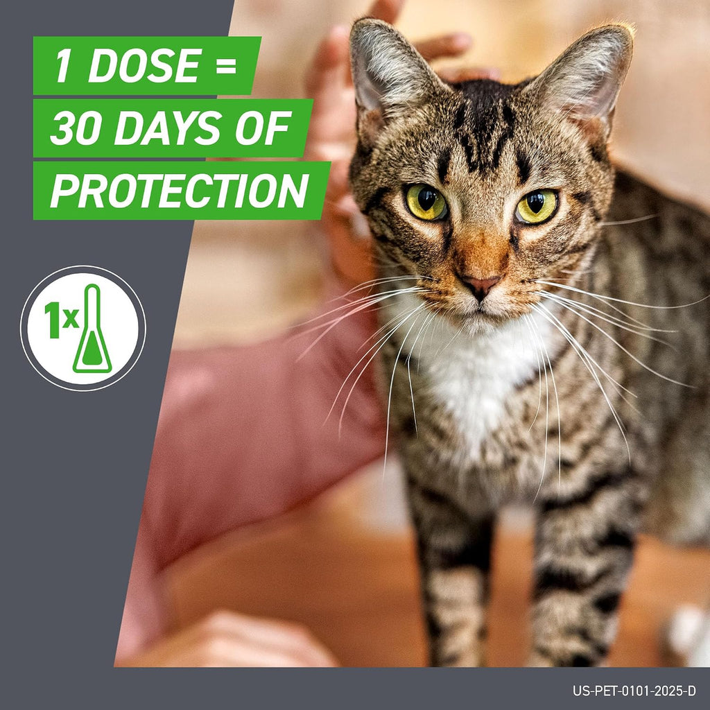 Frontline Plus waterproof topical treatment back cover directions for cats