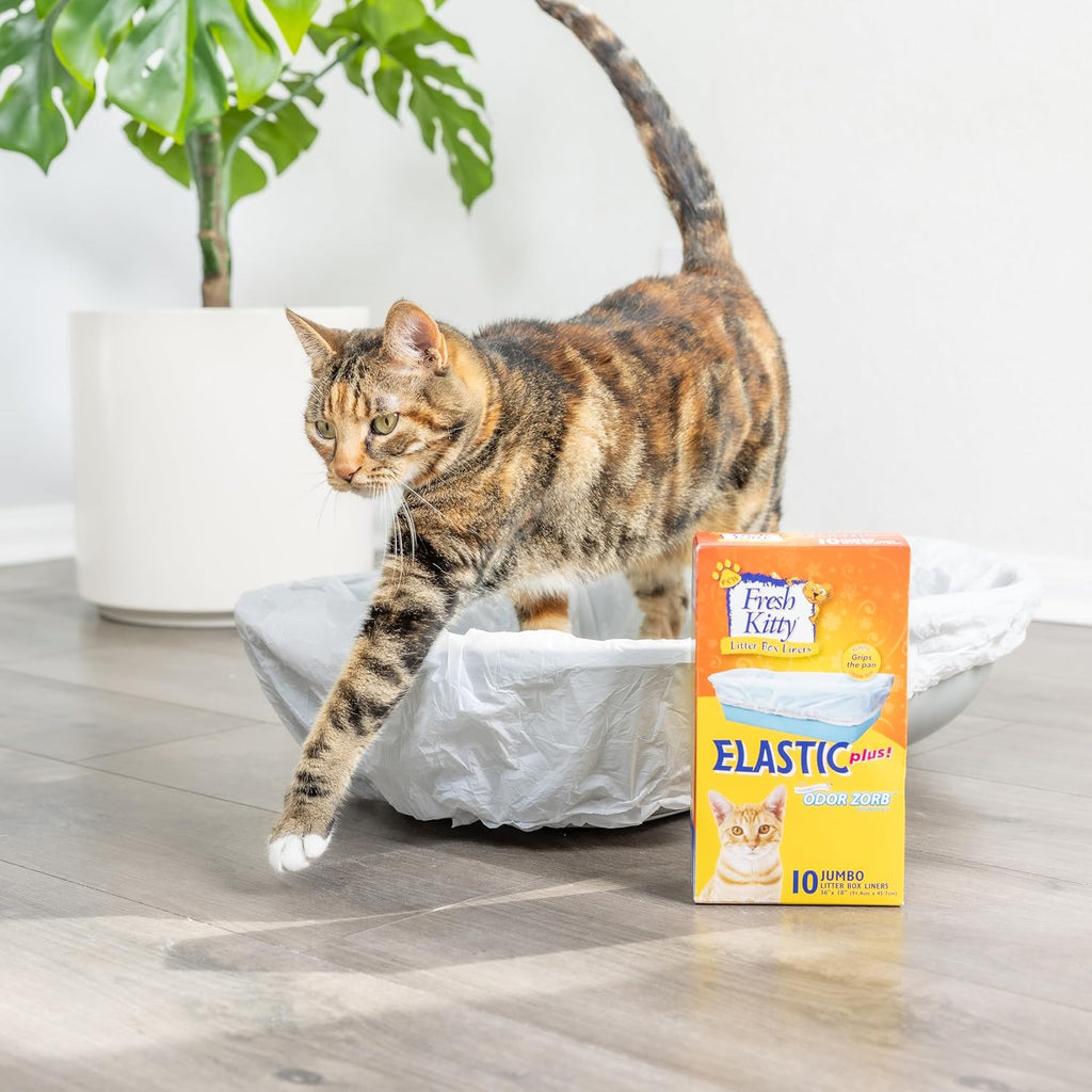 Fresh Kitty brand pet care cat supplies box packaging