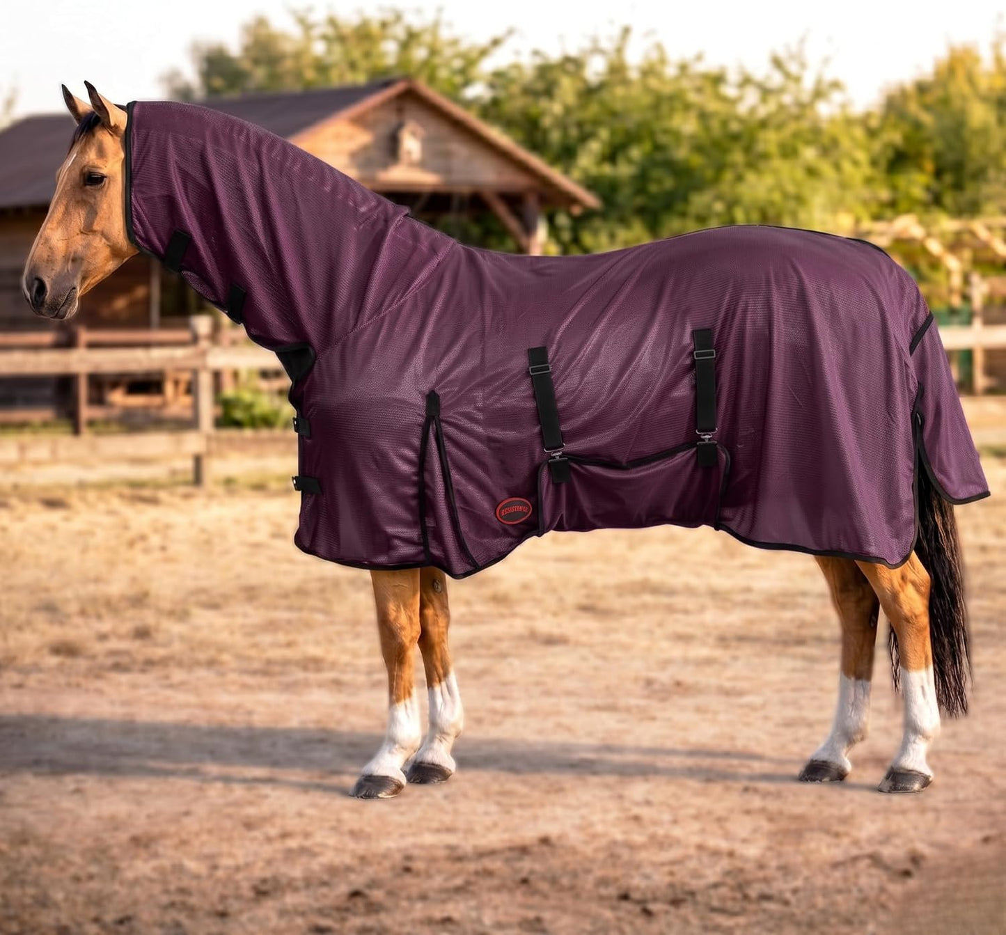 RESISTANCE Horse Fly Sheet with Neck Cover & Belly Wrap, Lightweight Breathable UV Protection Fly Sheet for Horses, Silver, Sizes 68"- 82" (Turquoise, 80") - Image 9
