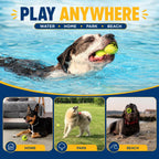 Insum dog tennis balls scattered on grass