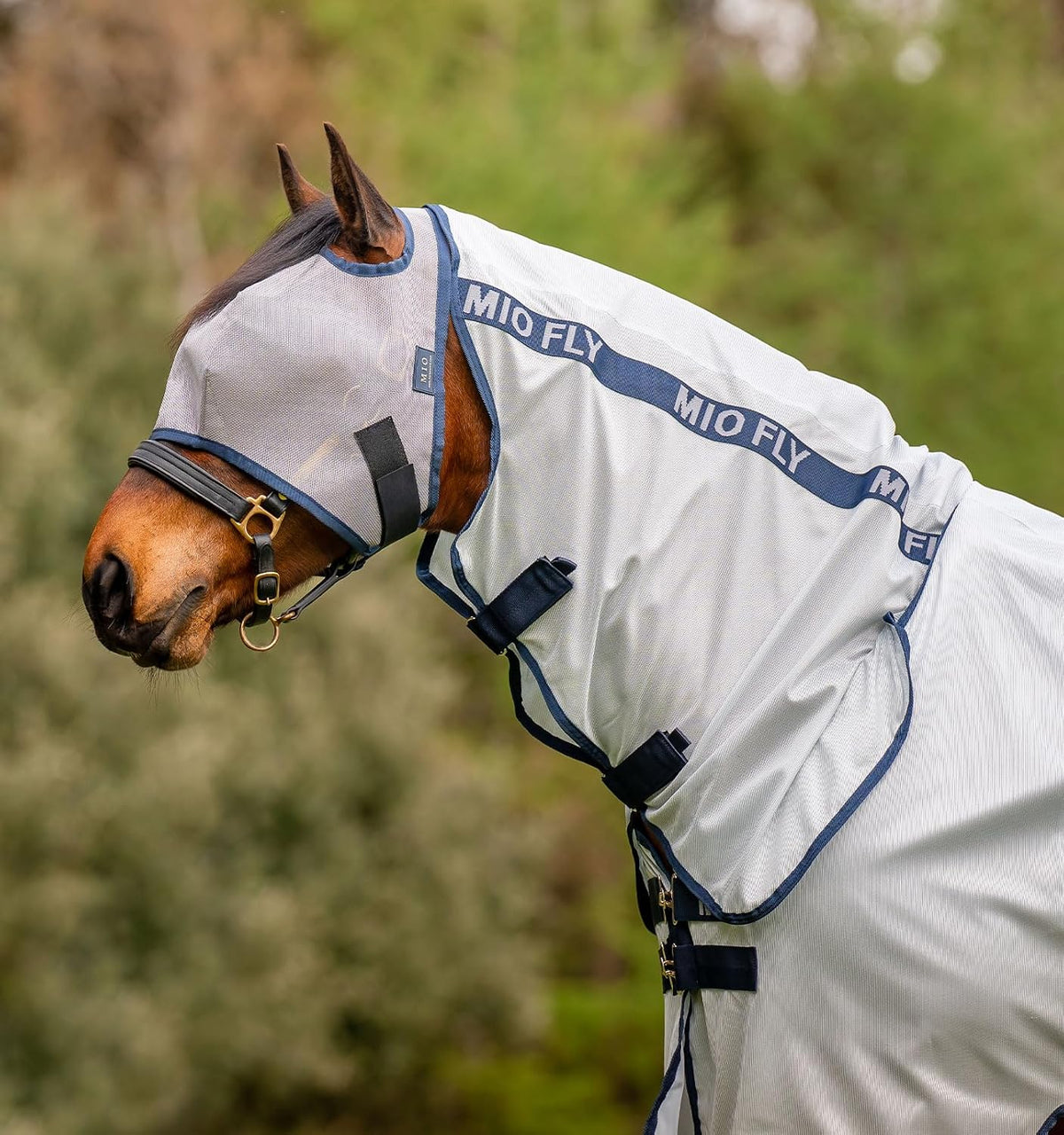 Side profile of Horseware Mio Fly Sheet with leg arches and surcingles