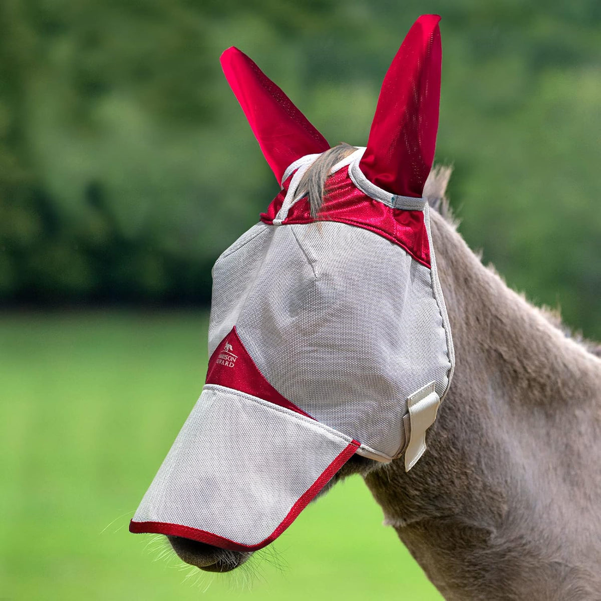 Harrison Howard mule donkey fly mask front view with nose cover
