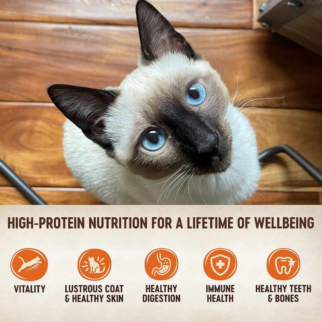 Back of Wellness CORE cat food pouch showing ingredients and feeding guide