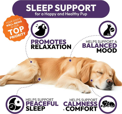 Natural hemp dog sleep aid soft chews container for small and large breeds.