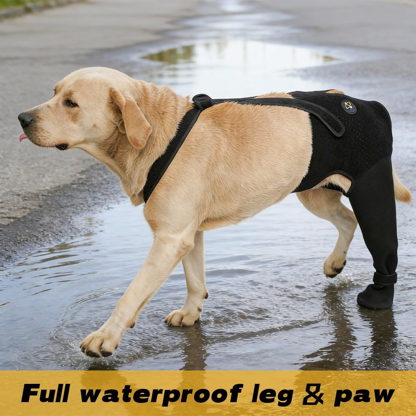 Coodeo dog recovery sleeve non-slip paw detail