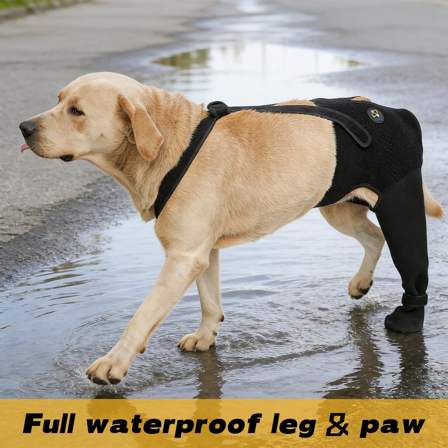 Coodeo dog recovery sleeve non-slip paw detail