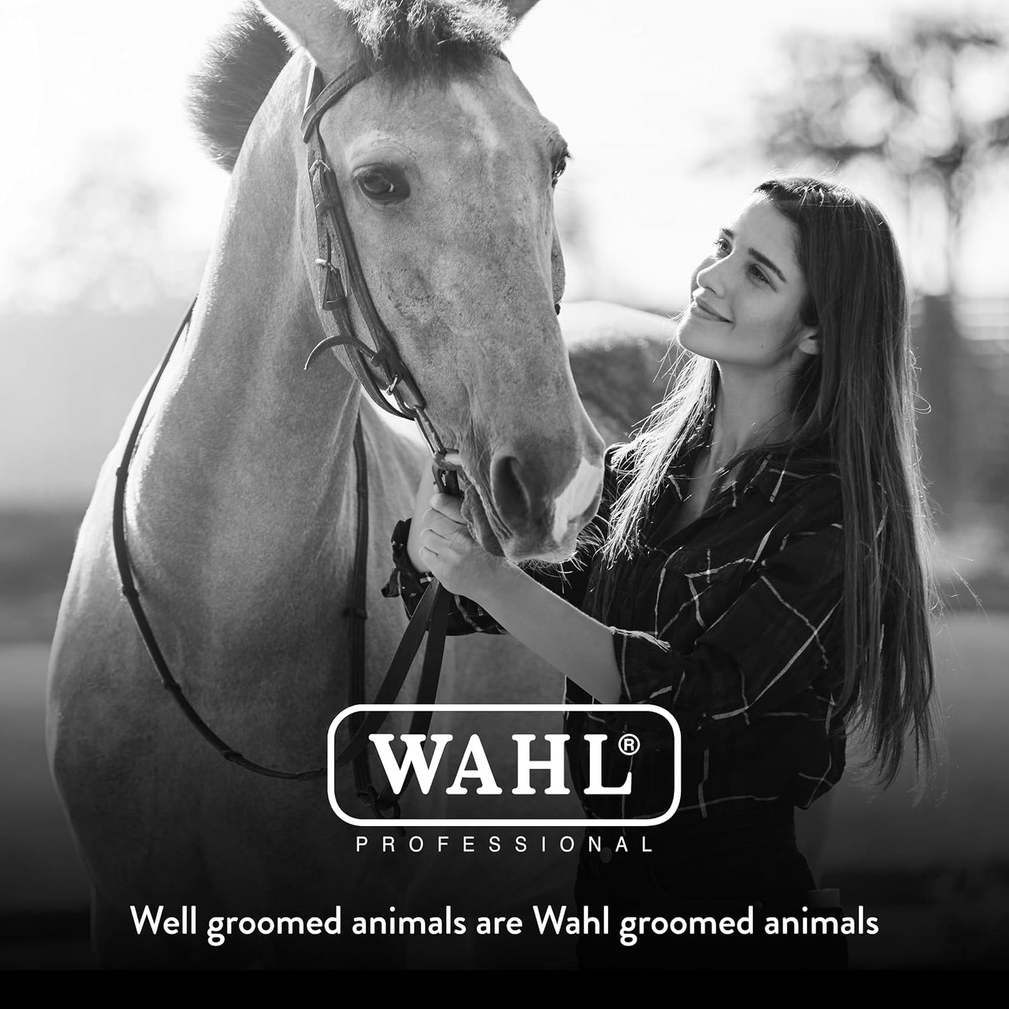 Wahl Equine Grooming Mitt in use for horse face and body care