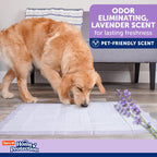 Size comparison of Hartz XXL lavender dog pads