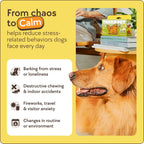 Close up of the TheraPetMD duck shaped anti anxiety diffuser for puppies