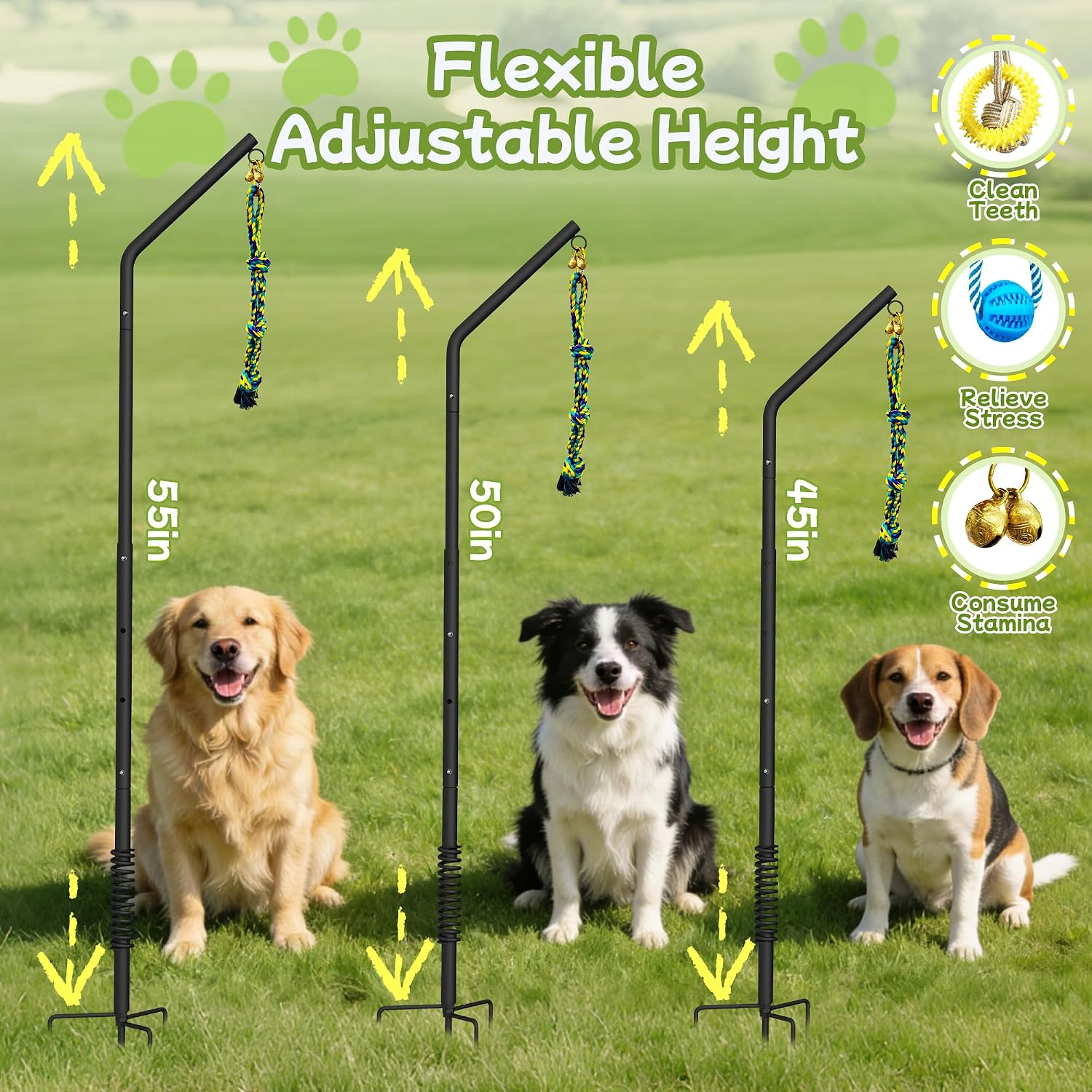 Full components of the fifty inch adjustable interactive dog anchor kit unpacked.