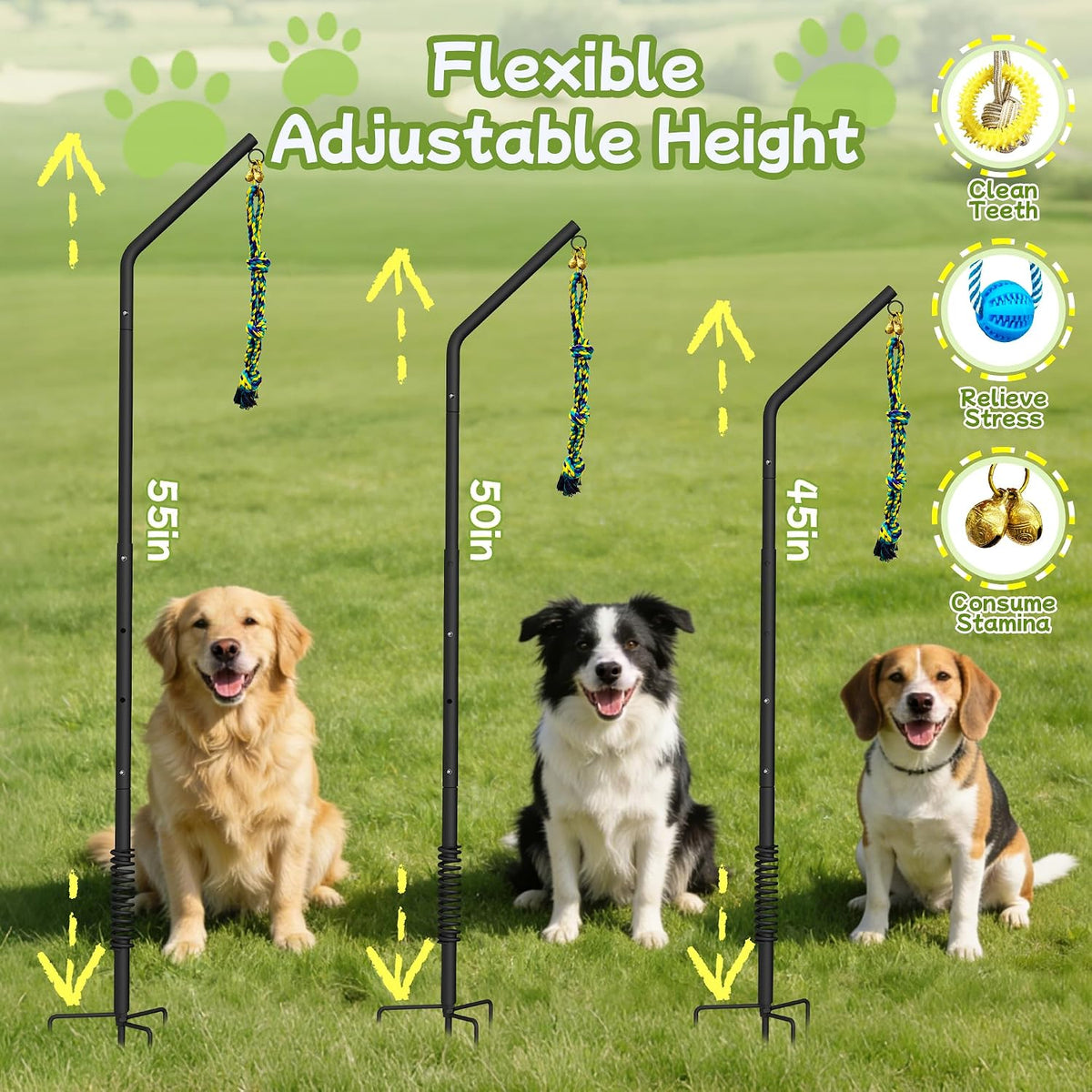 Full components of the fifty inch adjustable interactive dog anchor kit unpacked.