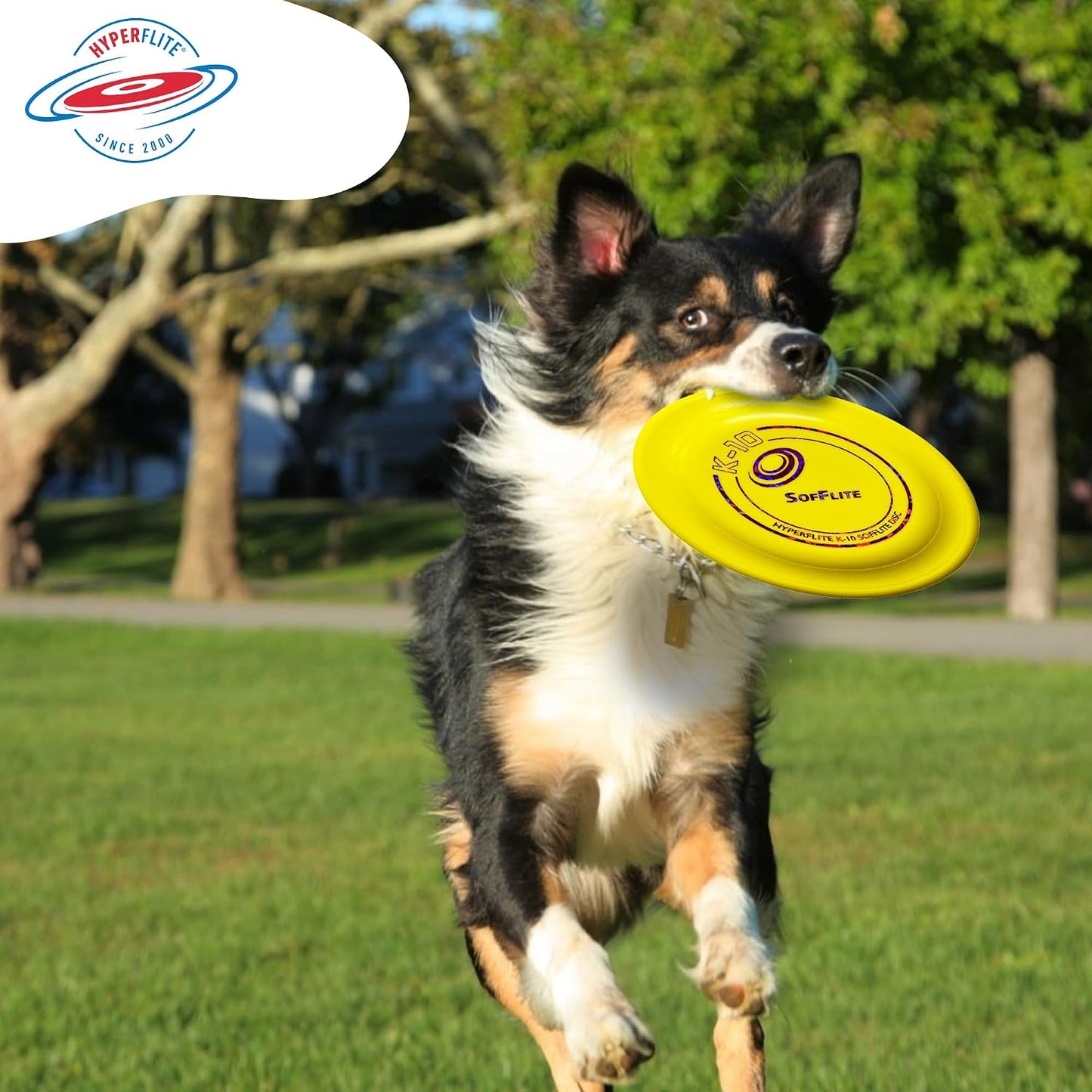Hyperflite K-10 SofFlite packaging for medium large dogs