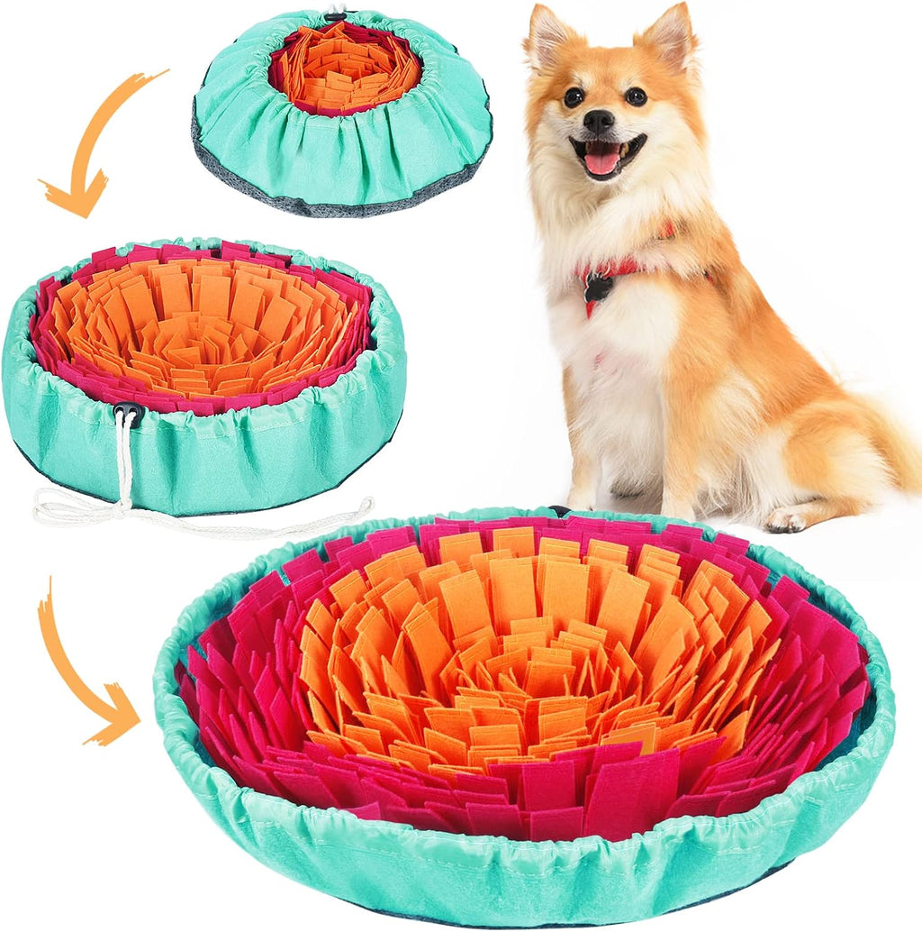Vivifying Snuffle Mat for Dogs Front View