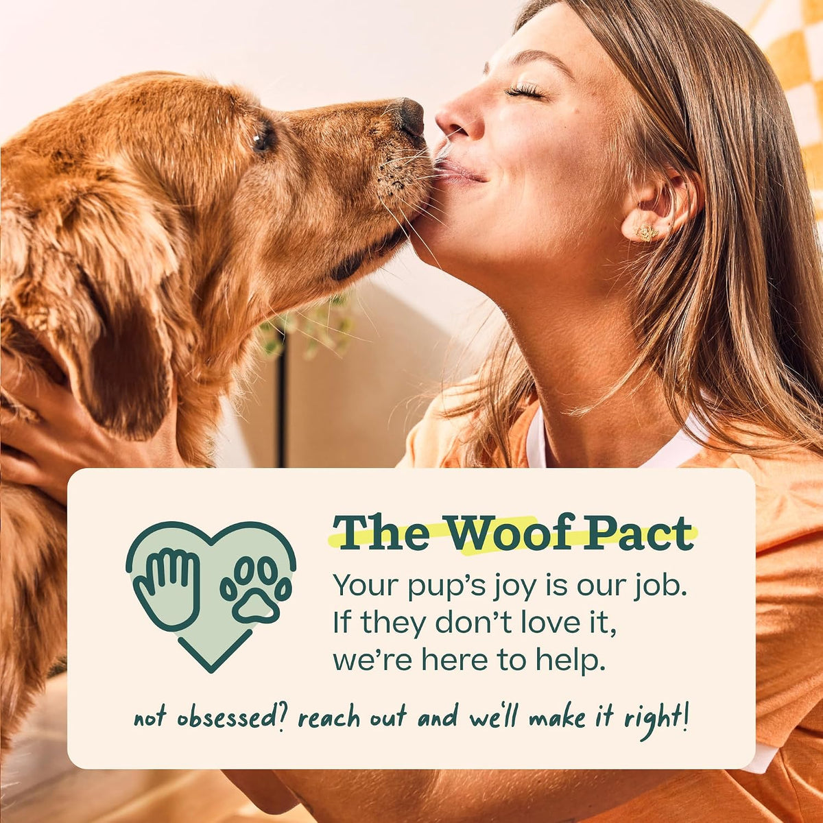 Authentic USA imported Woof dog dental refills in packaging