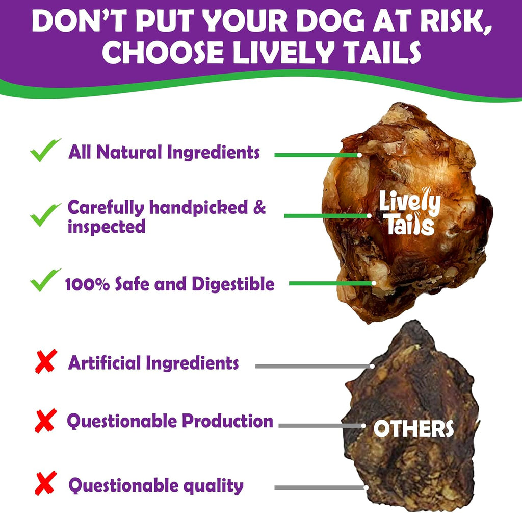 Small and medium dogs enjoying beef knee cap chews