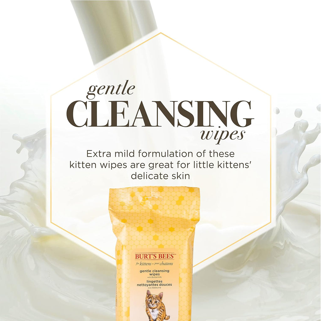 Burt's Bees 50 count kitten cleansing sheets with buttermilk and honey